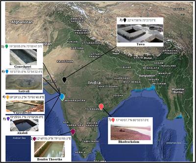 Physicochemical and Microbial Diversity Analyses of Indian <mark class="highlighted">Hot Springs</mark>